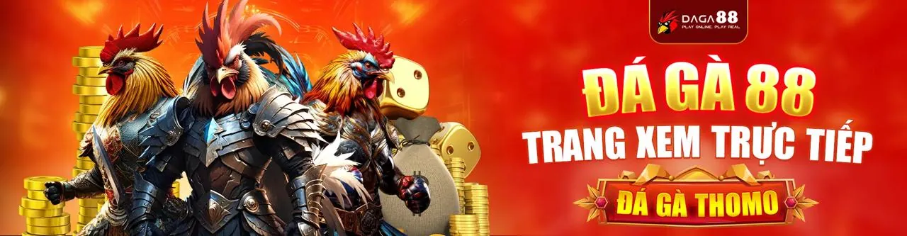 Sảnh Đá Gà Trực Tuyến kg88 casino